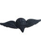 ARMY PARARIGGER BADGE IN BLACK - (1 3/4 inch)